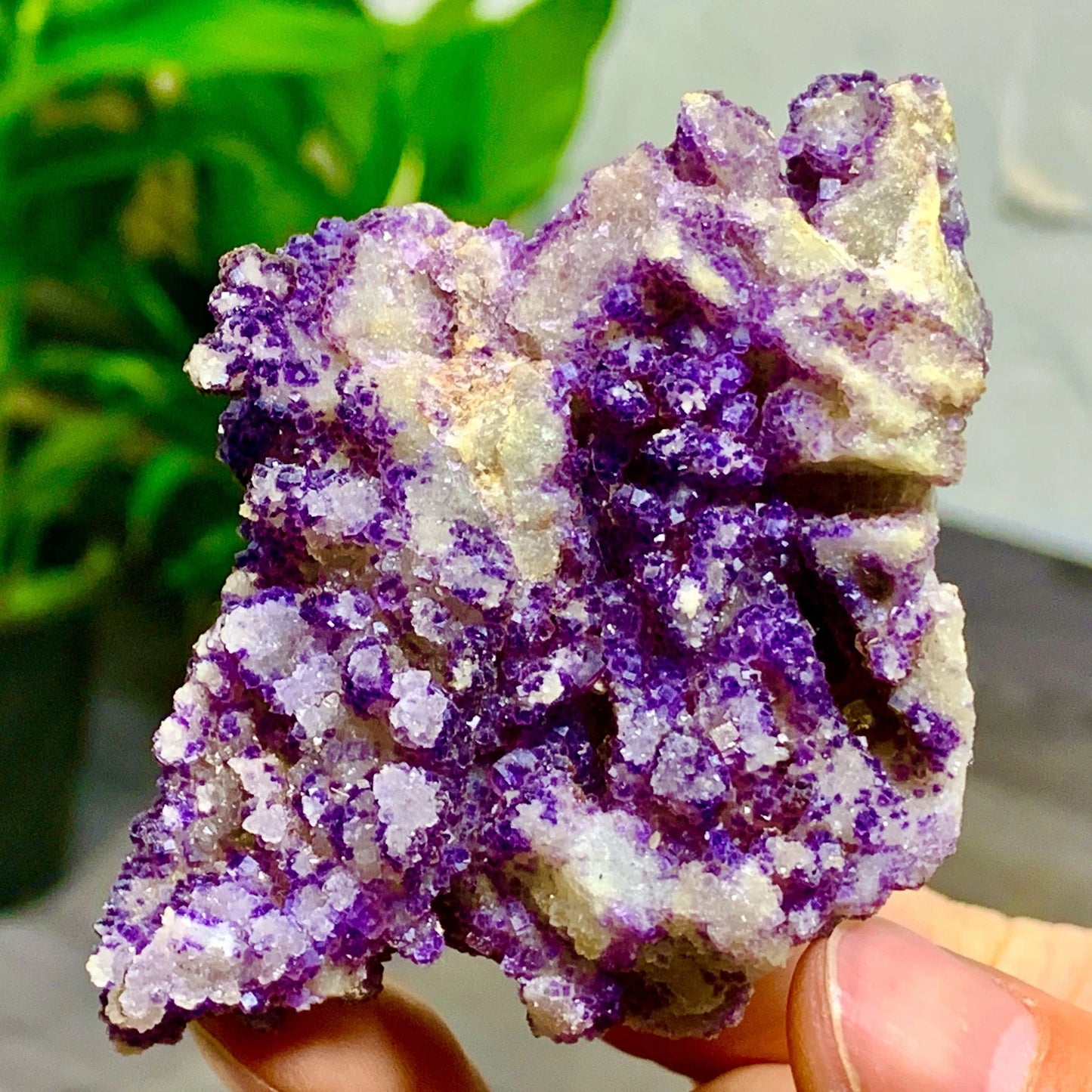 105G Natural Purple Fluorite Edged Cube Crystal Mineral Specimen