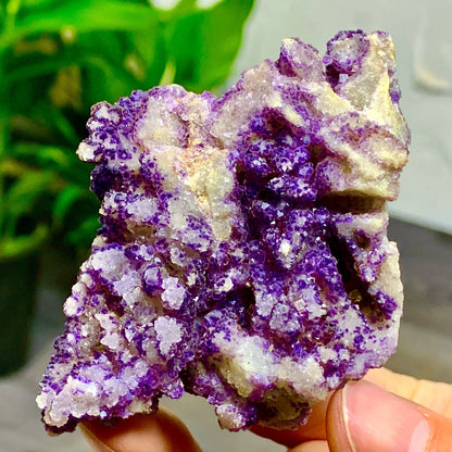 105G Natural Purple Fluorite Edged Cube Crystal Mineral Specimen