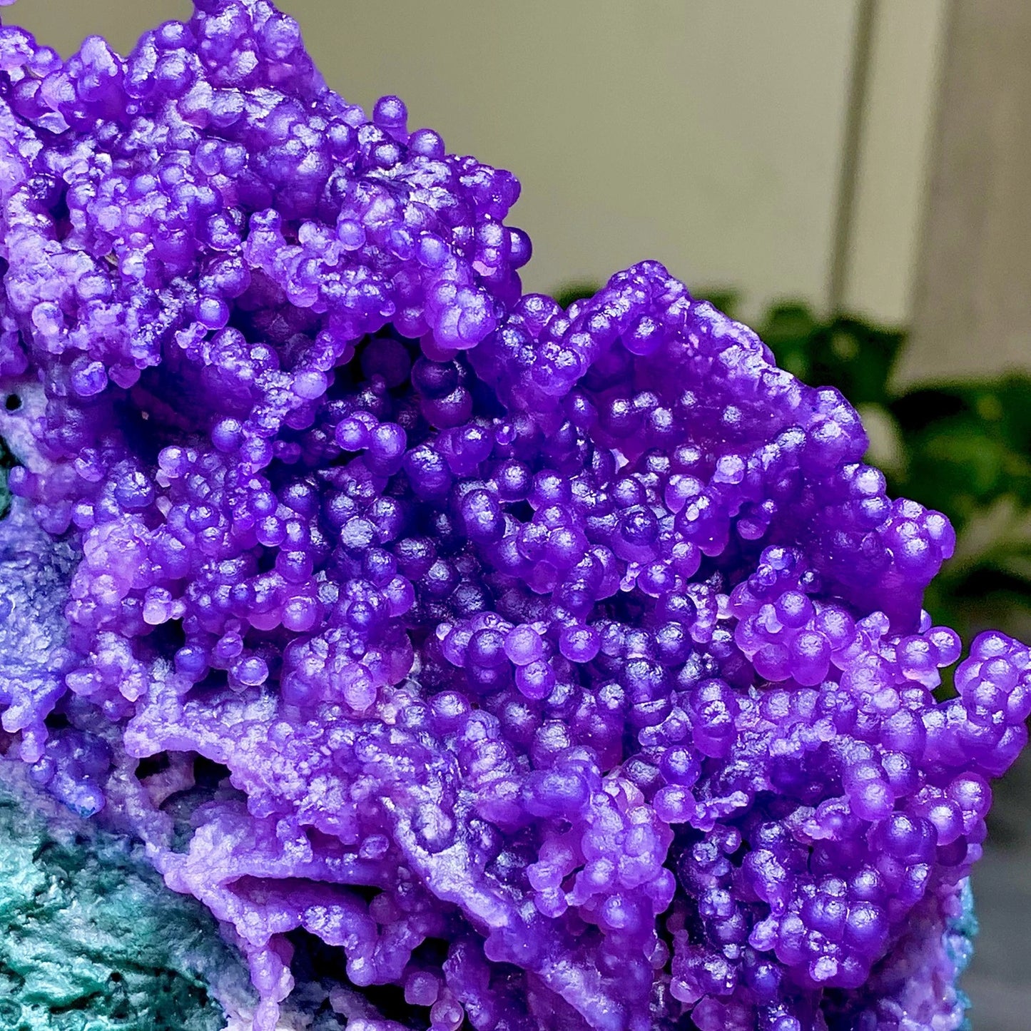 2.7LB Natural Purple Grape Agate Quartz Crystal Granular Mineral Specimen